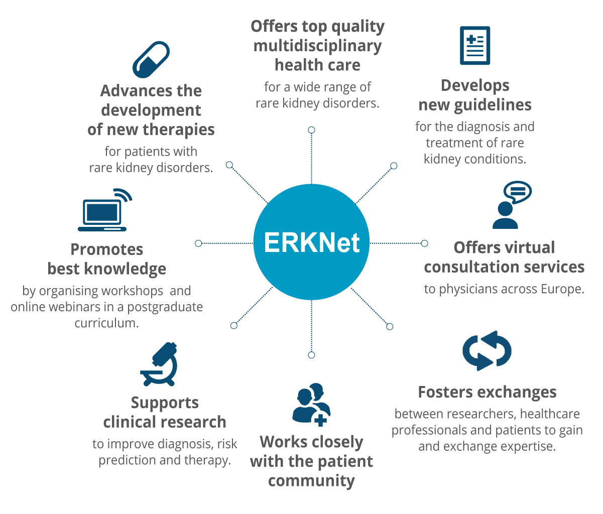 Activities of ERKNet